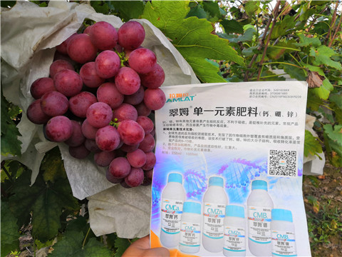 水溶肥，鈣肥，硼肥