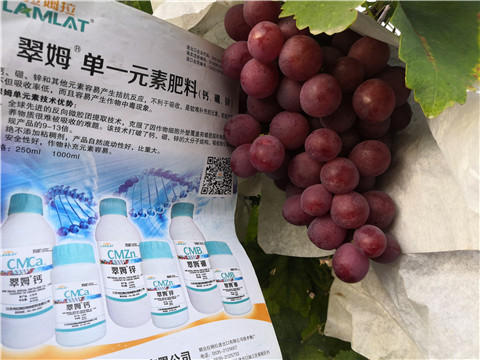 水溶肥，鈣肥，硼肥