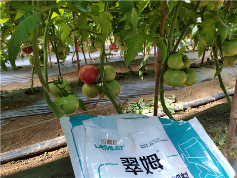 水溶肥，