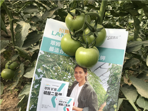 沖施肥，鈣肥