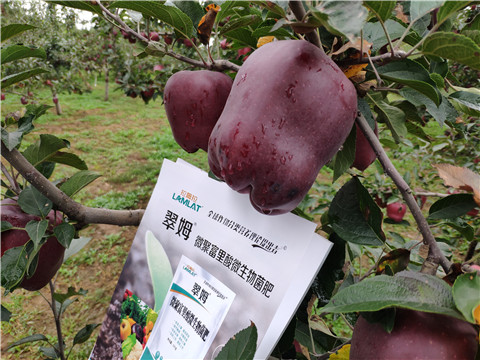 微生物菌劑，