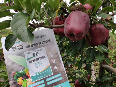 微生物菌劑，
