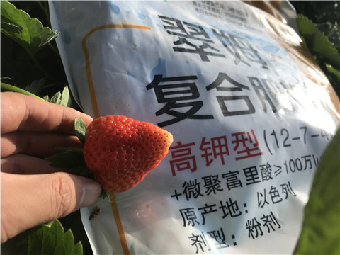 水溶，拉姆拉，翠姆