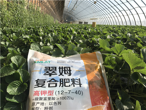 水溶，拉姆拉，翠姆