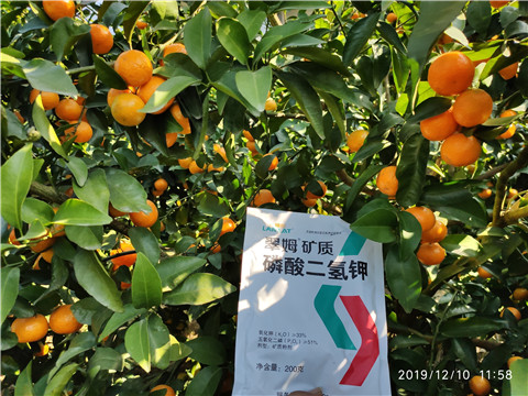 水溶肥，磷酸二氫鉀