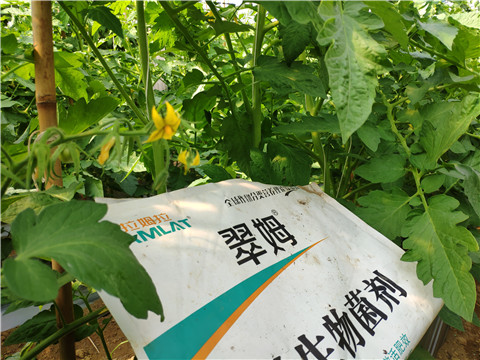 微生物菌劑，