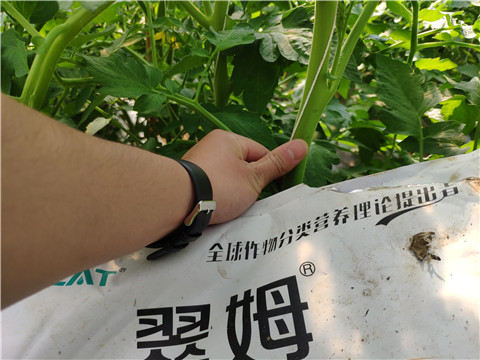 微生物菌劑，