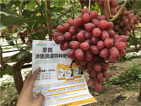 沖施肥，拉姆拉