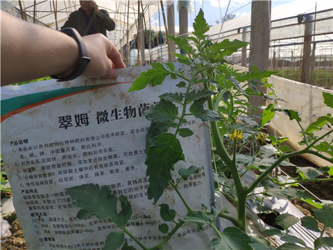 微生物菌劑 ，拉姆拉翠姆