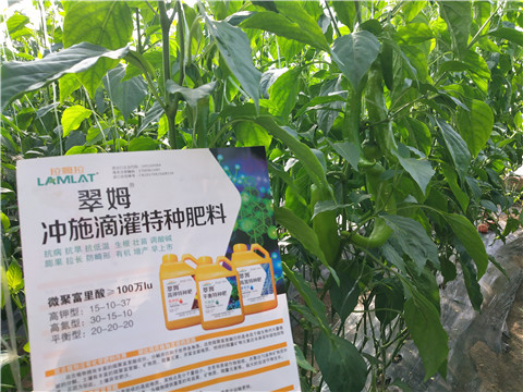 水溶肥，拉姆拉