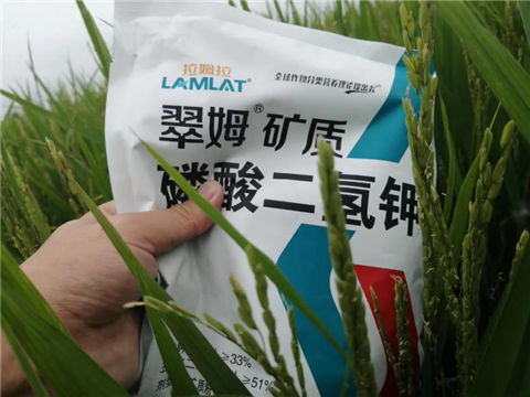 農資經(jīng)銷商，拉姆拉，磷酸二氫鉀