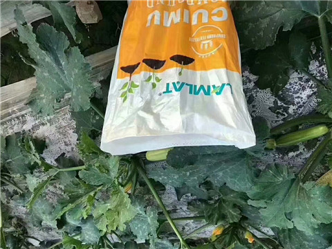 水溶肥，拉姆拉