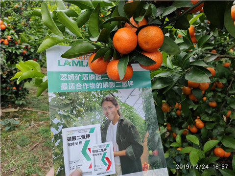 磷酸二氫鉀，鈣肥，硼肥