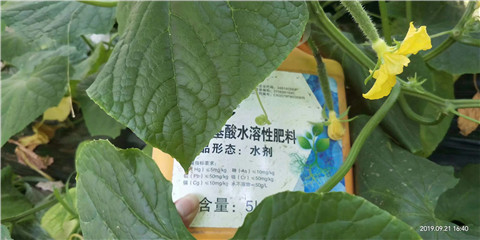 水溶肥，翠姆