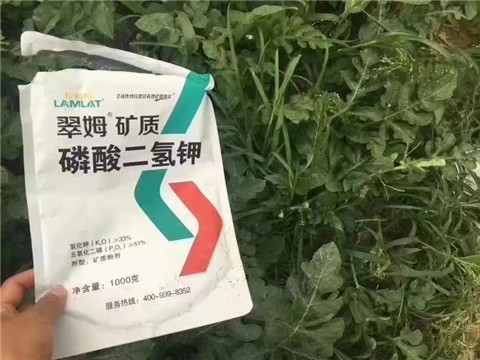 磷酸二氫鉀，硼肥，沖施肥
