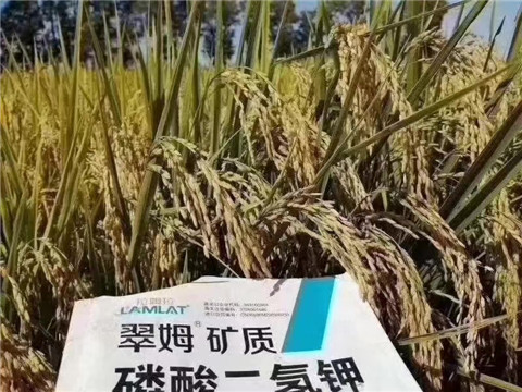 磷酸二氫鉀，翠姆