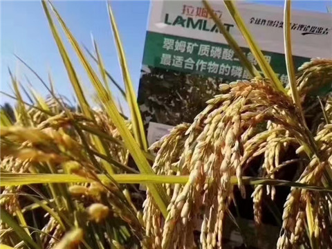 磷酸二氫鉀，翠姆