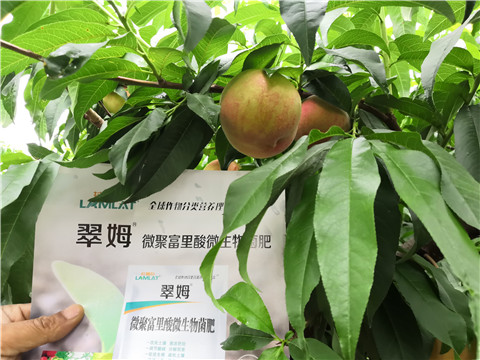 根碧多，微生物菌劑
