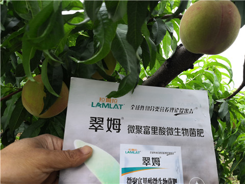 根碧多，微生物菌劑
