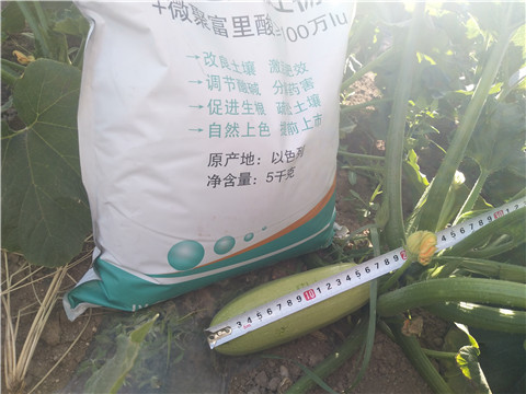 微生物菌劑，磷酸二氫鉀