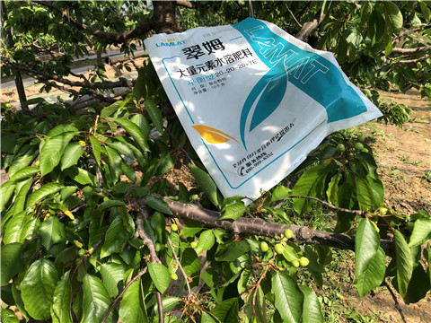 大量元素水溶肥，磷酸二氫鉀，硼肥