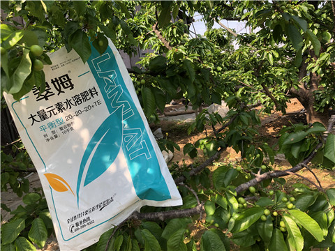大量元素水溶肥，磷酸二氫鉀，硼肥