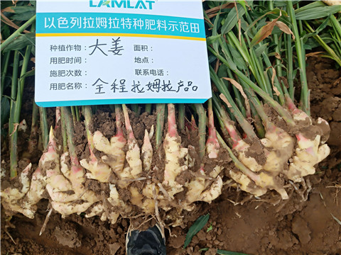 水溶肥，微生物菌劑，拉姆拉