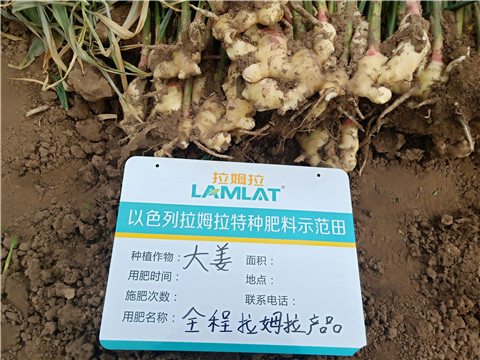 水溶肥，微生物菌劑，拉姆拉