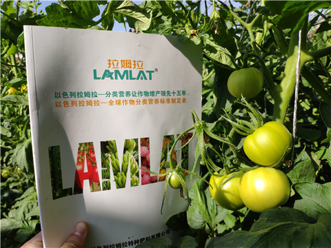 微生物菌劑，拉姆拉，伯示麥