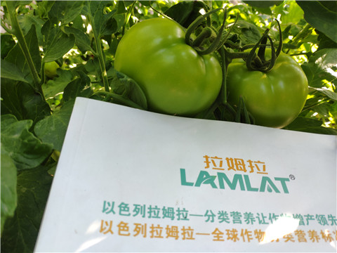 微生物菌劑，拉姆拉，伯示麥