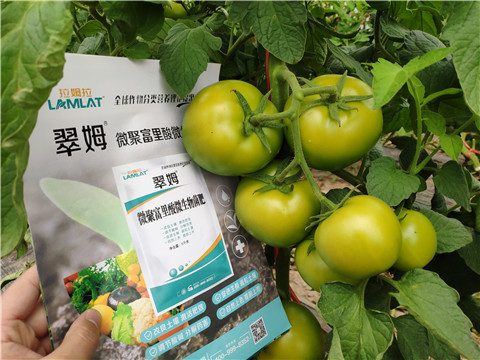 葉面肥，微生物菌劑，磷酸二氫鉀