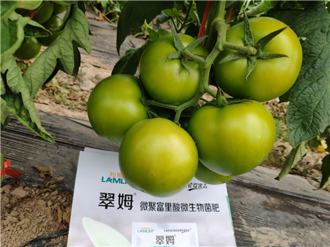 葉面肥，微生物菌劑，磷酸二氫鉀