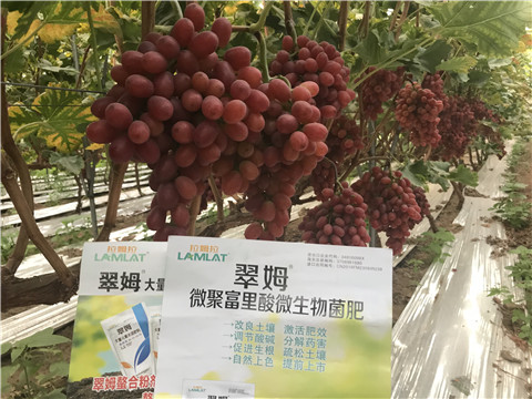 微生物菌劑，硼肥，鈣肥