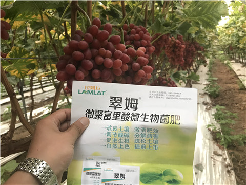 微生物菌劑，硼肥，鈣肥