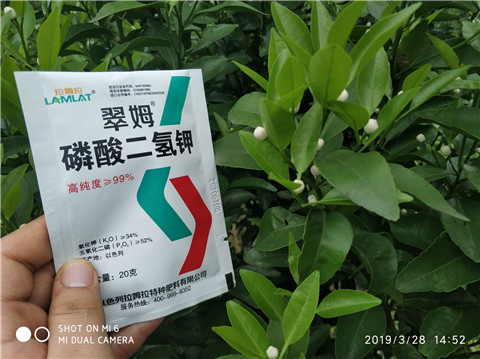 磷酸二氫鉀，硼肥，拉姆拉