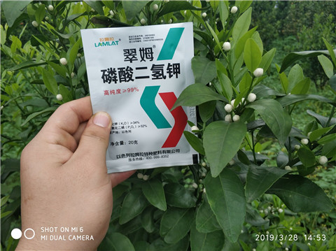 磷酸二氫鉀，硼肥，拉姆拉