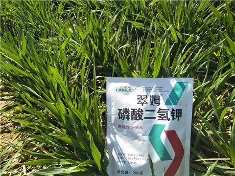 磷酸二氫鉀，葉面肥，拉姆拉