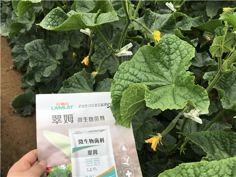 微生物菌劑，水溶肥，拉姆拉