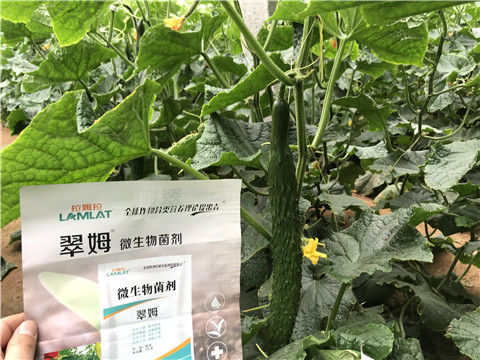 微生物菌劑，水溶肥，拉姆拉