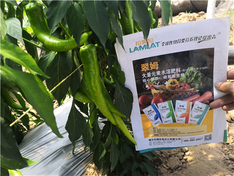 微生物菌劑，復(fù)合肥料，拉姆拉