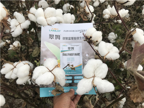 微生物菌劑，根碧多，拉姆拉