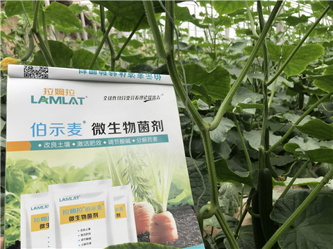 微生物菌劑，生根劑，拉姆拉