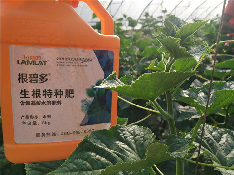 根碧多，磷酸二氫鉀，拉姆拉