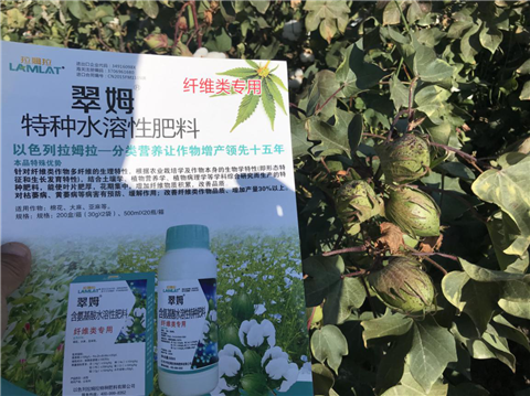 葉面肥，拉姆拉