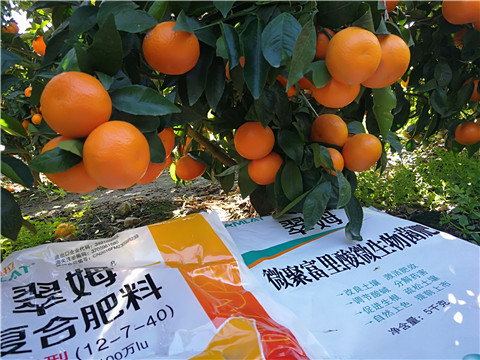水溶肥，拉姆拉