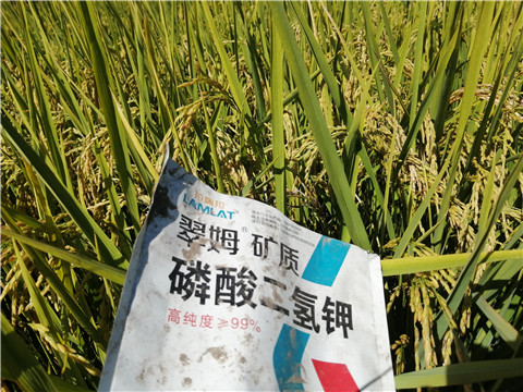 磷酸二氫鉀，翠姆，拉姆拉