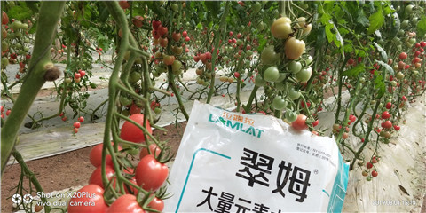 水溶肥，翠姆，拉姆拉