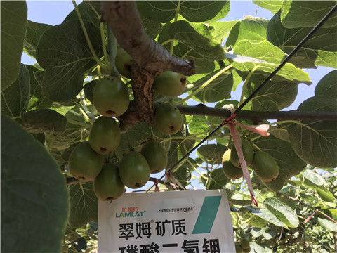 磷酸二氫鉀，拉姆拉