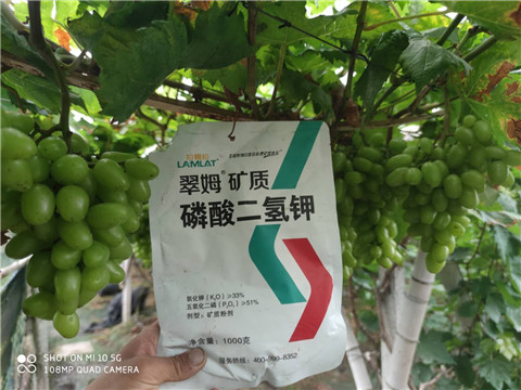 磷酸二氫鉀，拉姆拉