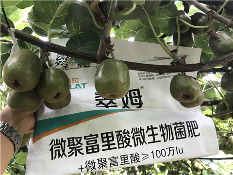 微生物菌劑，翠姆，拉姆拉